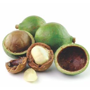 Macadâmia