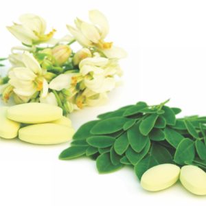 Óleo de Moringa